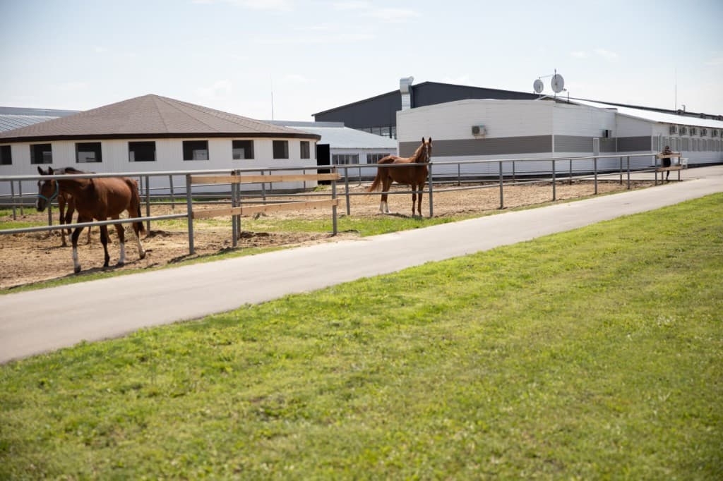 Левади та бочка