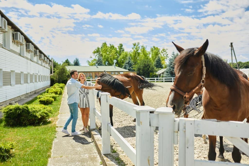 Діти спостерігають за тренуванням у манежі